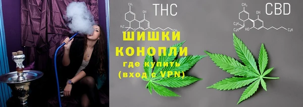 мет Арсеньев