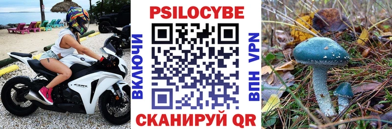 Псилоцибиновые грибы MAGIC MUSHROOMS  МЕГА ССЫЛКА  дарк нет телеграм  цены   Россошь 